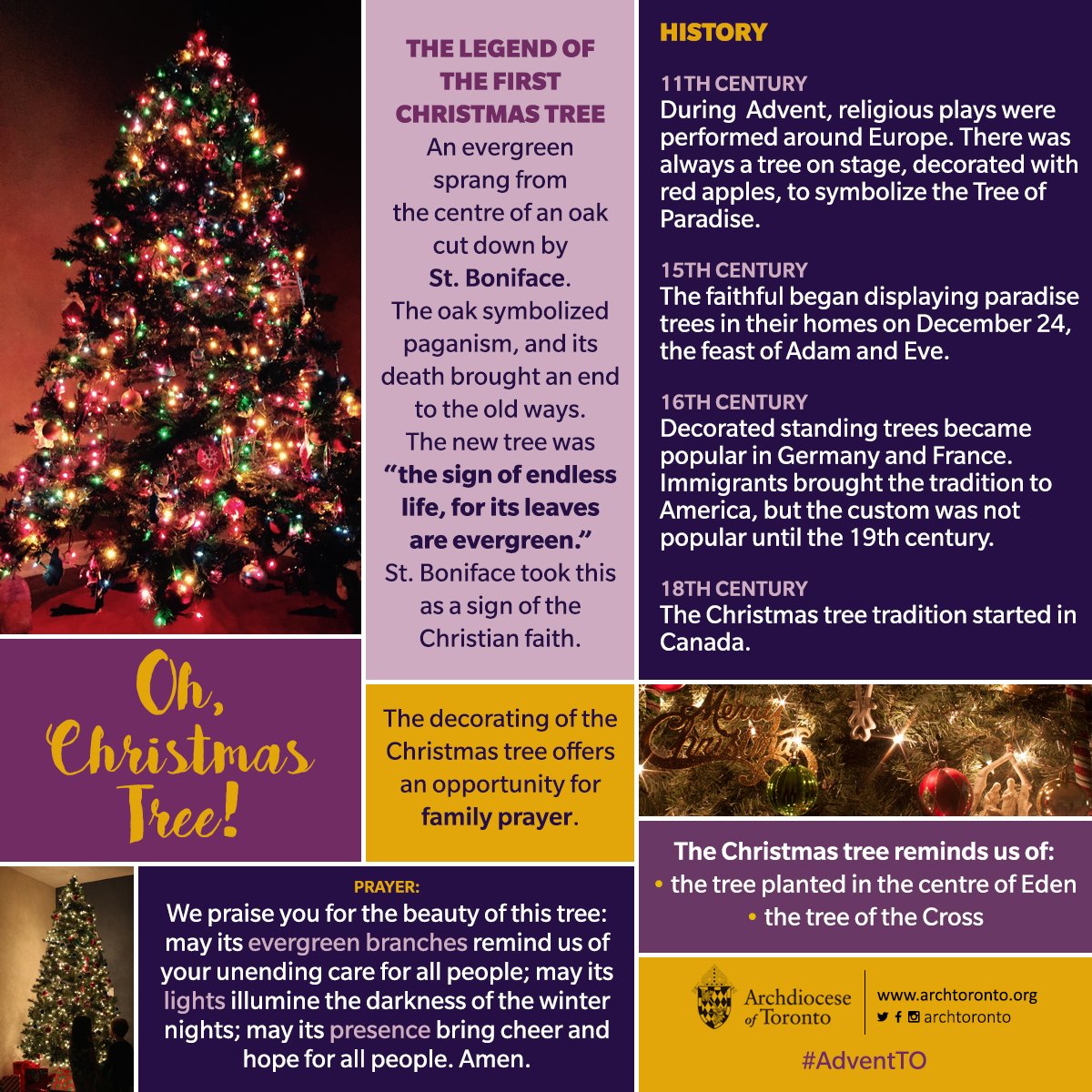 Infographic: Christmas Tree