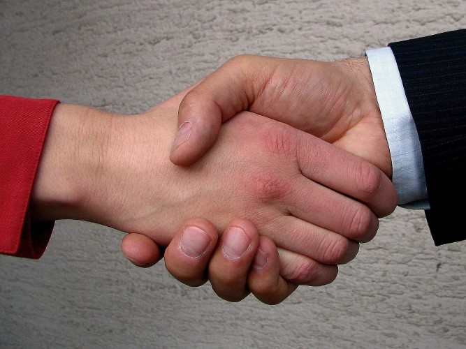 Two hands joined for a handshake.