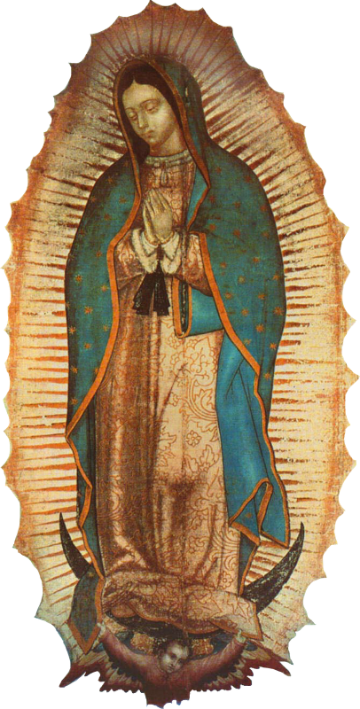 Blessed Virgin with darker skin, looking down dressed in a turquoise mantle